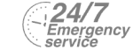 24/7 Emergency Service Pest Control in Grays, Badgers Dene, RM17. Call Now! 020 8166 9746