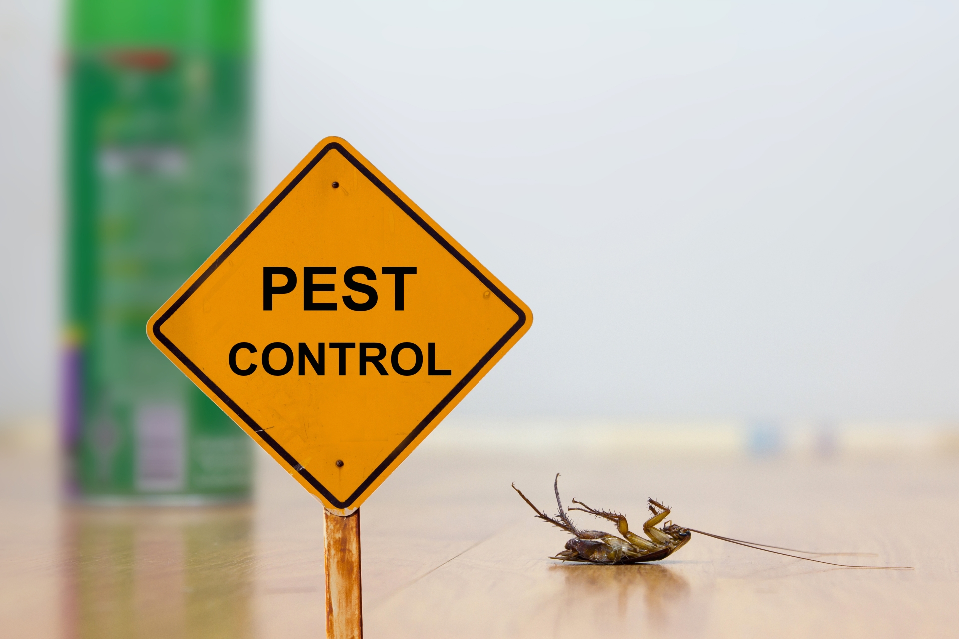 24 Hour Pest Control, Pest Control in Grays, Badgers Dene, RM17. Call Now 020 8166 9746